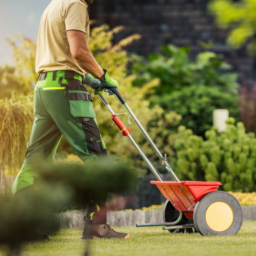 Gardener With Push Spreader Fertilizing Residentia R4E7PFX